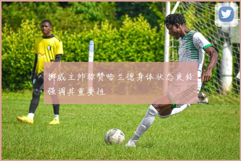 挪威主帅称赞哈兰德身体状态良好强调其重要性